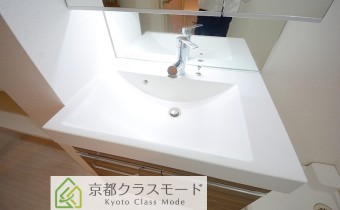 シャンプードレッサー