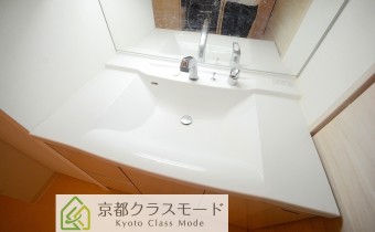 シャンプードレッサー