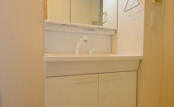 シャンプードレッサー
