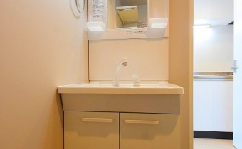 シャンプードレッサー