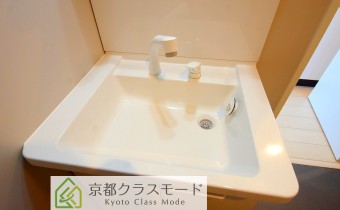 シャンプードレッサー