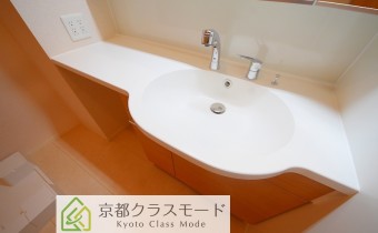 シャンプードレッサー