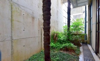 専用庭　※室内写真は同マンション内の別タイプのものです。