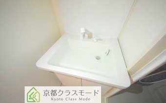 シャンプードレッサー