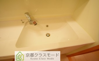 シャンプードレッサー