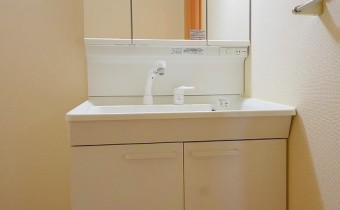 シャンプードレッサー