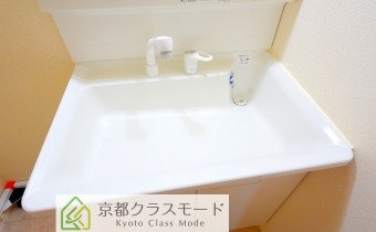 シャンプードレッサー