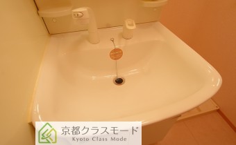 シャンプードレッサー