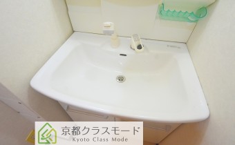 シャンプードレッサー