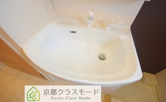 シャンプードレッサー