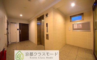 ホール