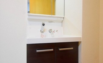 シャンプードレッサー