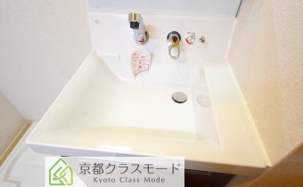 シャンプードレッサー