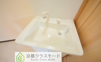 シャンプードレッサー