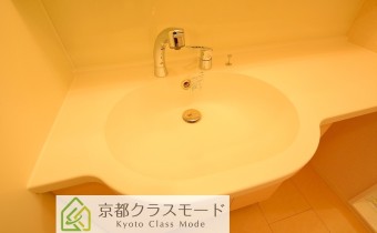 シャンプードレッサー