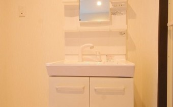 シャンプードレッサー