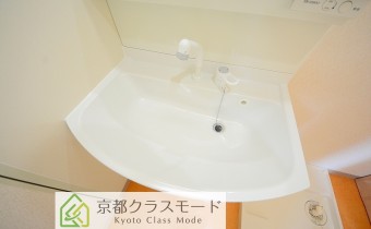 シャンプードレッサー
