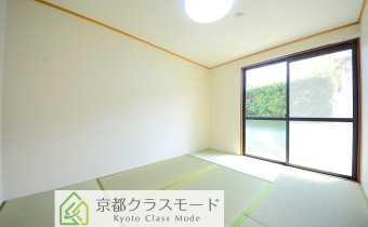和6
