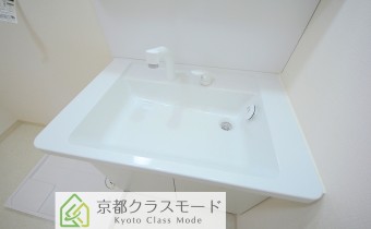 シャンプードレッサー
