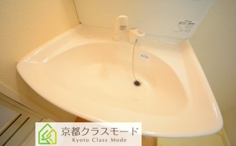 シャンプードレッサー