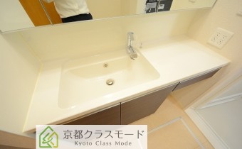 シャンプードレッサー