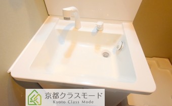 シャンプードレッサー