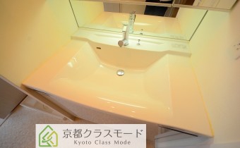 シャンプードレッサー