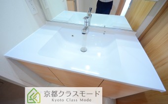 シャンプードレッサー