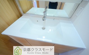 シャンプードレッサー