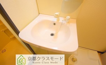 シャンプードレッサー