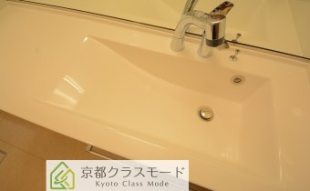 シャンプードレッサー