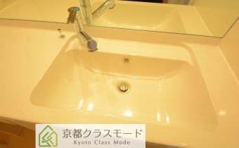 シャンプードレッサー