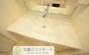 シャンプードレッサー