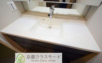 シャンプードレッサー