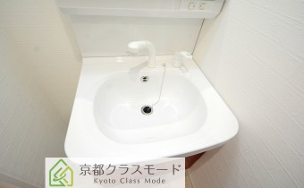 シャンプードレッサー