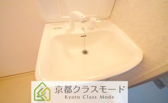 シャンプードレッサー
