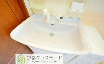 シャンプードレッサー