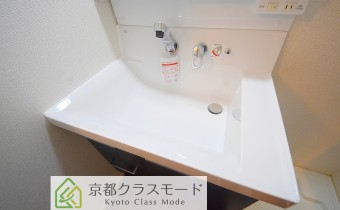 シャンプードレッサー