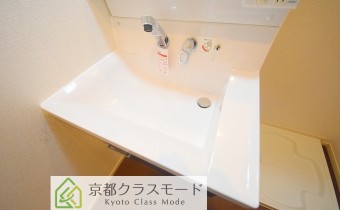シャンプードレッサー