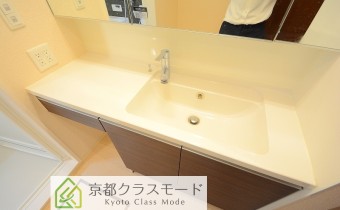 シャンプードレッサー