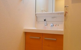 シャンプードレッサー