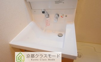 シャンプードレッサー