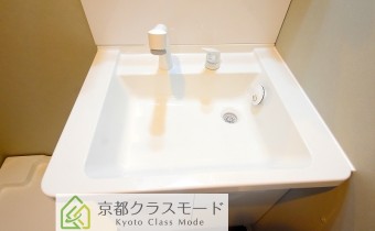シャンプードレッサー