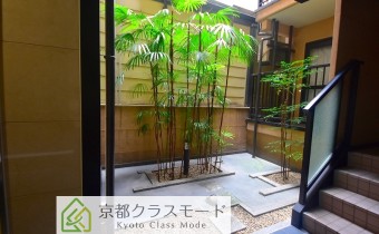 中庭