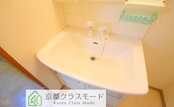 シャンプードレッサー
