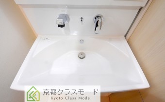 シャンプードレッサー