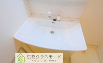 シャンプードレッサー