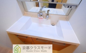 シャンプードレッサー