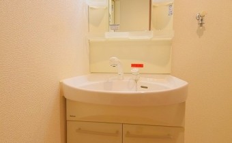 シャンプードレッサー