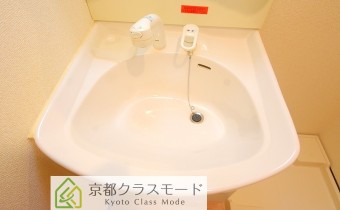 シャンプードレッサー